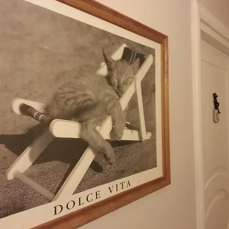 Ξενοδοχείο Il Gatto Ραπάλο