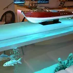 Il Gatto Hotel