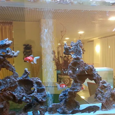 酒店 埃尔加托酒店 3*