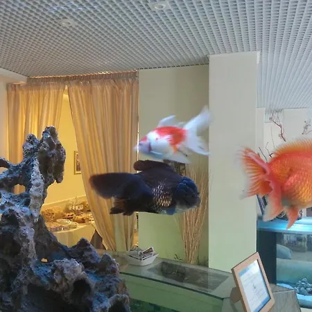 埃尔加托酒店 酒店 3*