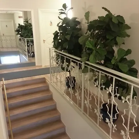 酒店 埃尔加托酒店