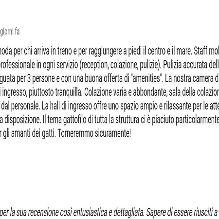 Il Gatto 3*
