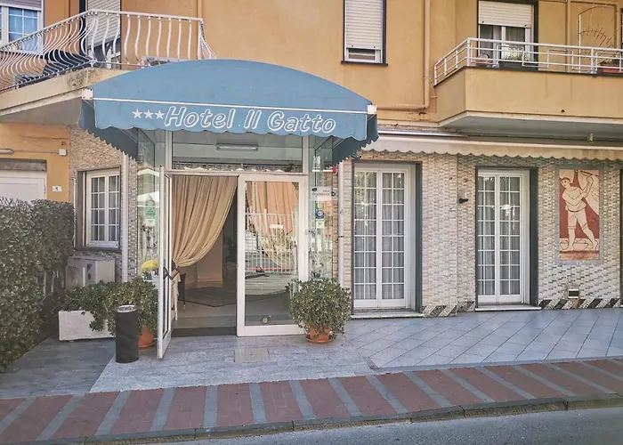 Il Gatto